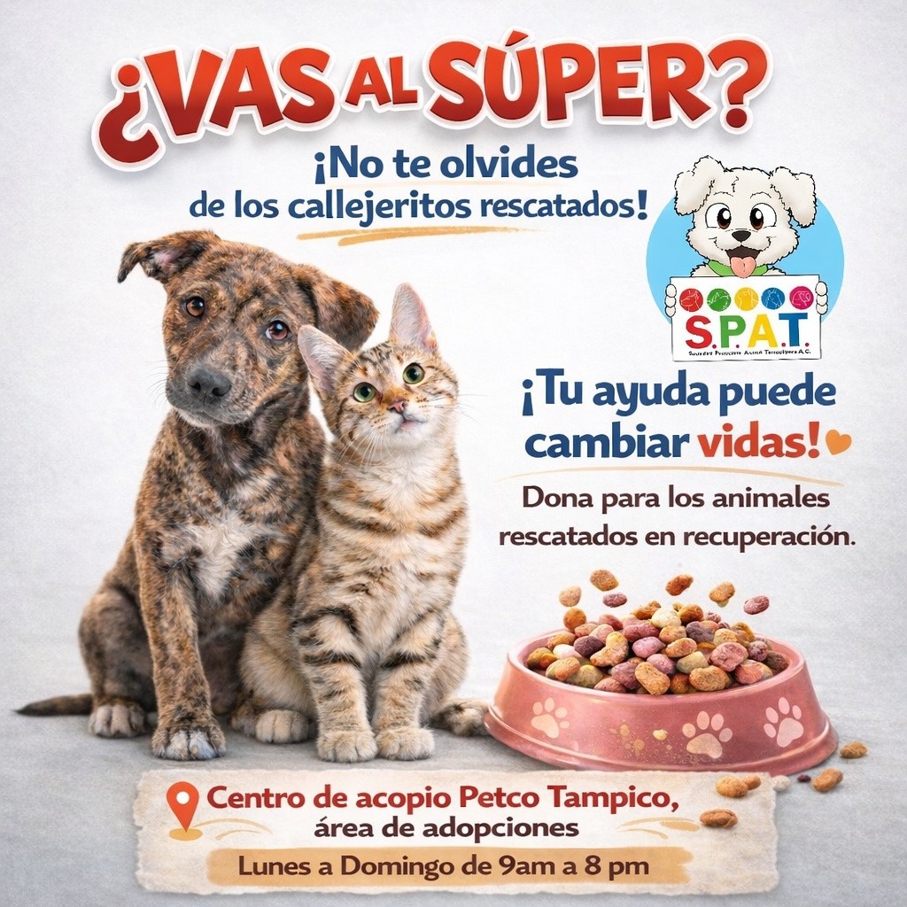 Sociedad Protectora Animal Tamaulipeca Ac tweet media