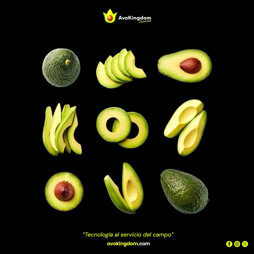 Avokingdom_S's tweet image. Diferentes formas, diferentes estilos. 

Un solo protagonista. 🥑

#AvoLovers #KeepItSimple #BuenProvecho #AgTech #Tecnología #StartUp #AI #Avocado #Aguacate #Guacamole #GreenRevolution #GreenTech #GreenLove #FuturoVerde #Mexico #USA #Marzo #Hoy #Noticias #Original #Avokingdom 🥑