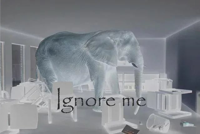 clara ✨ tweet media