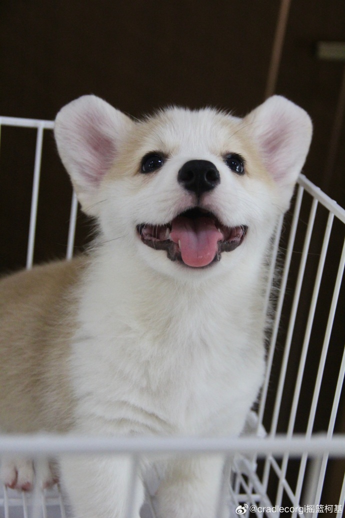 Mompy Novantanove tweet media