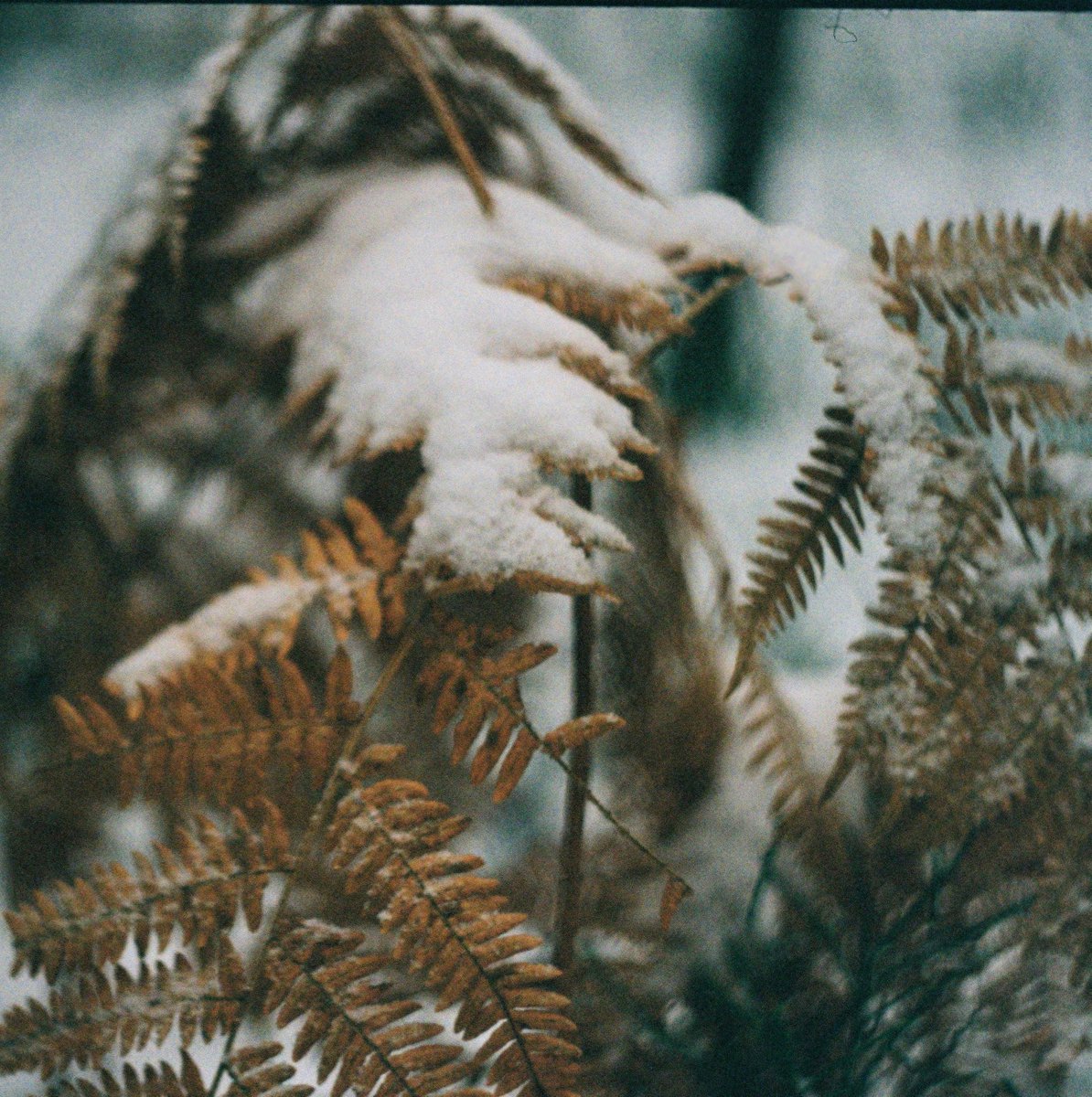 полночь🌙 tweet media