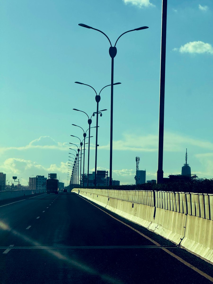 Alifiyah Palkhi tweet media