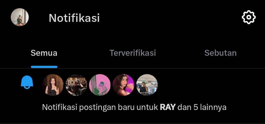 ray tweet media