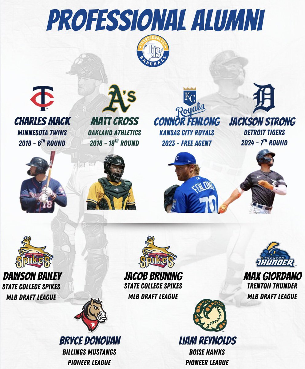 Thunderwolves Baseball Recruiting tweet media