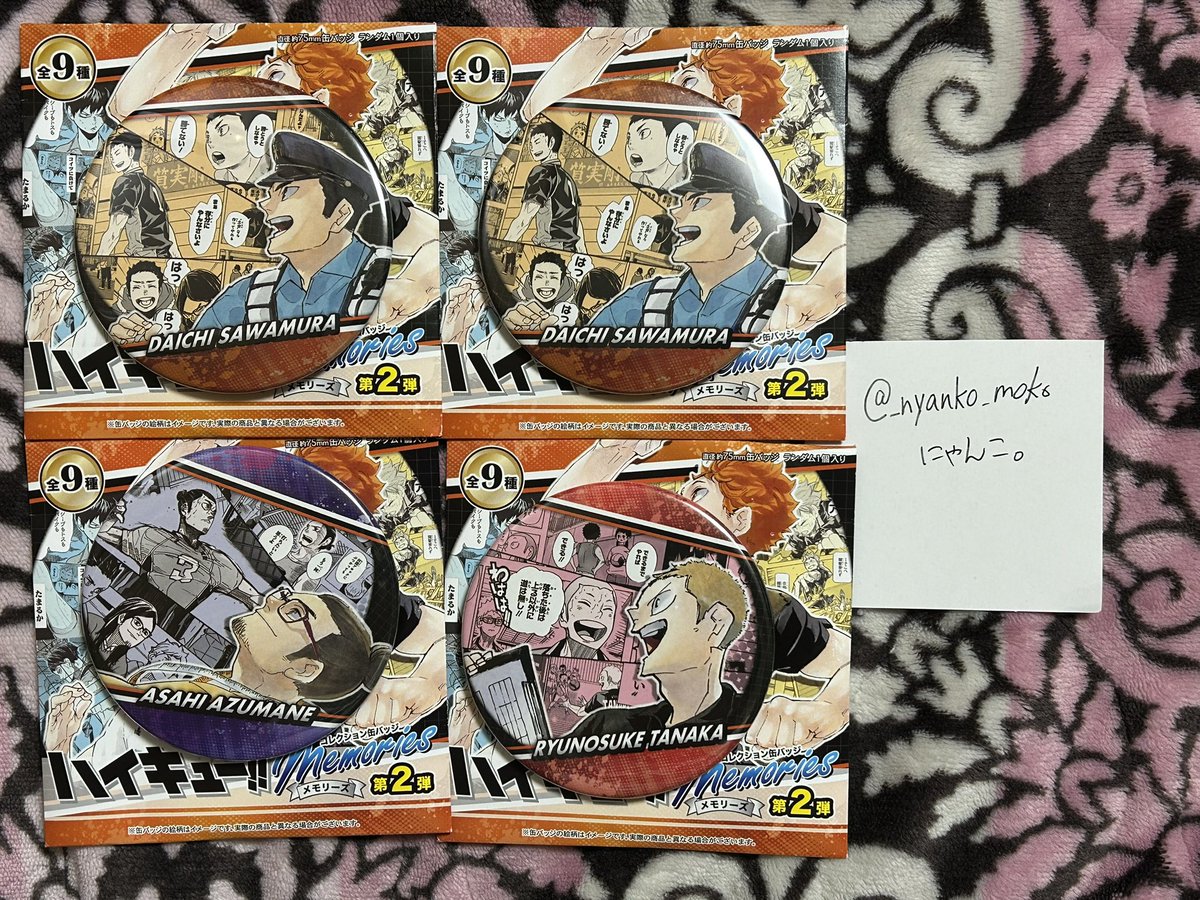 にゃんこ。 tweet media