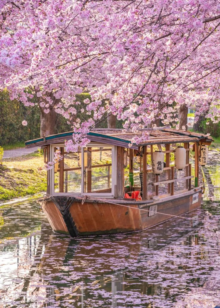 WORLD VIEW tweet media