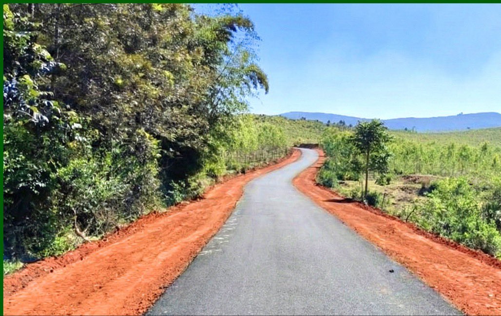 PKFC USA tweet media