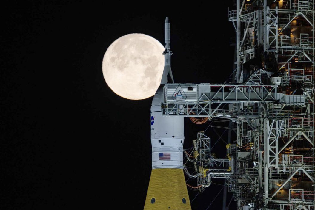 Bio Con Ciencia 🧫🔬🩷 tweet media