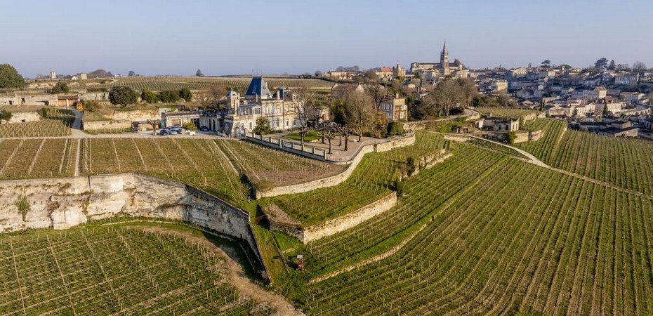 dVIN Labs (🍷, ⛓) tweet media