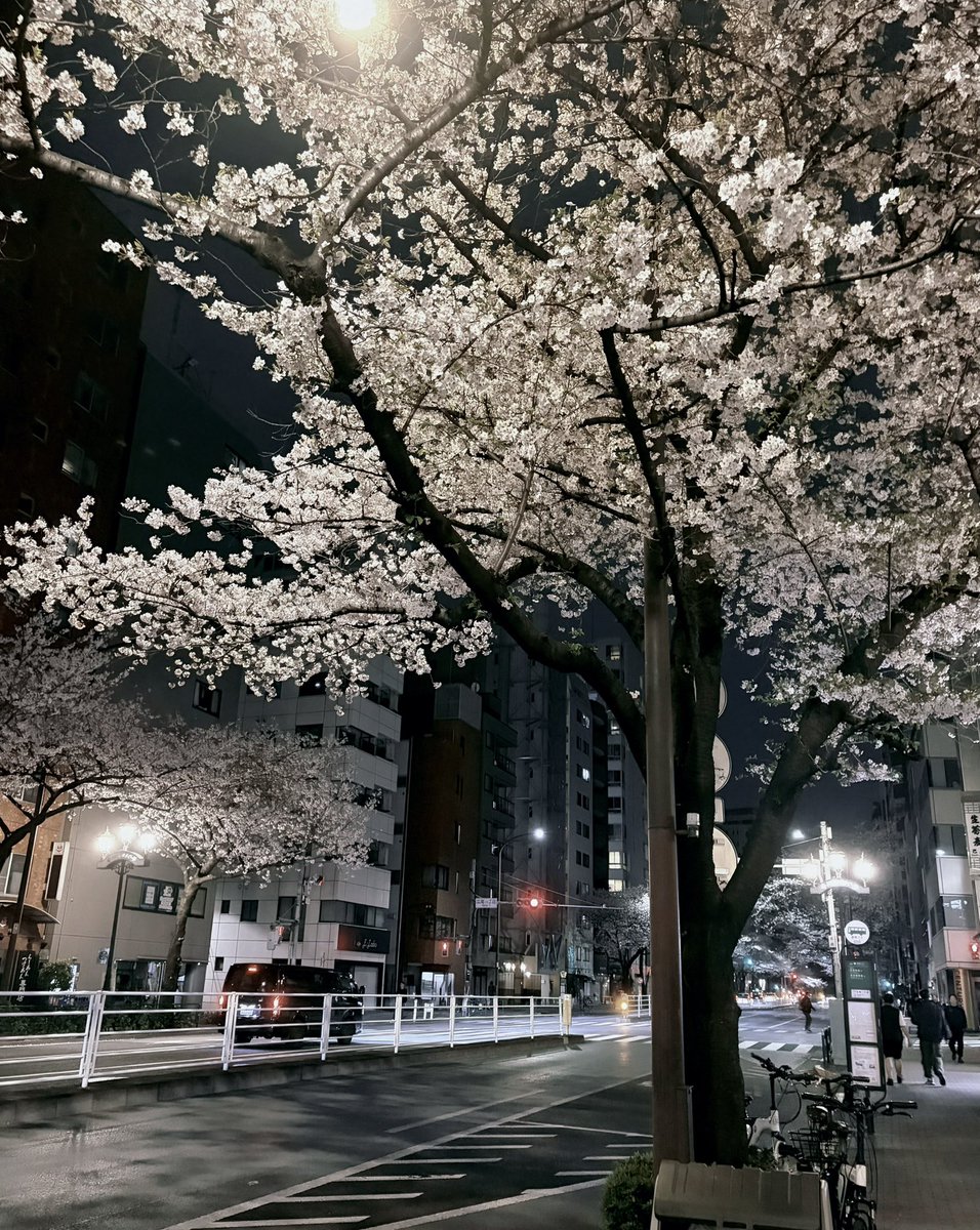 moz_sub's tweet photo. 春だね https://t.co/oG4VHSWC4i