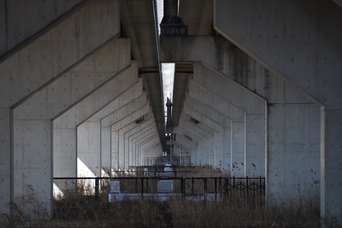 おがわこうた｜デザフェス63 tweet media