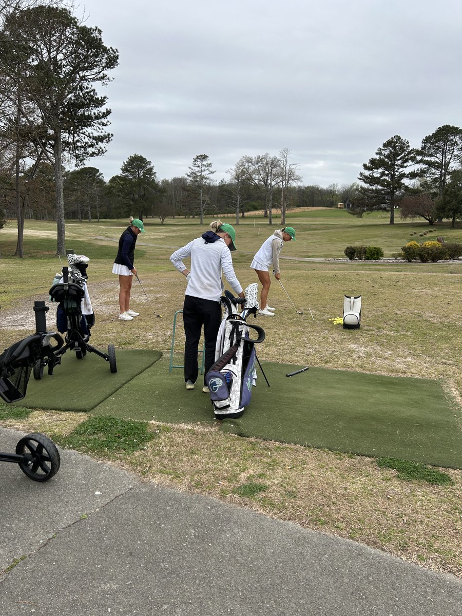 Ave Maria Women’s Golf tweet media