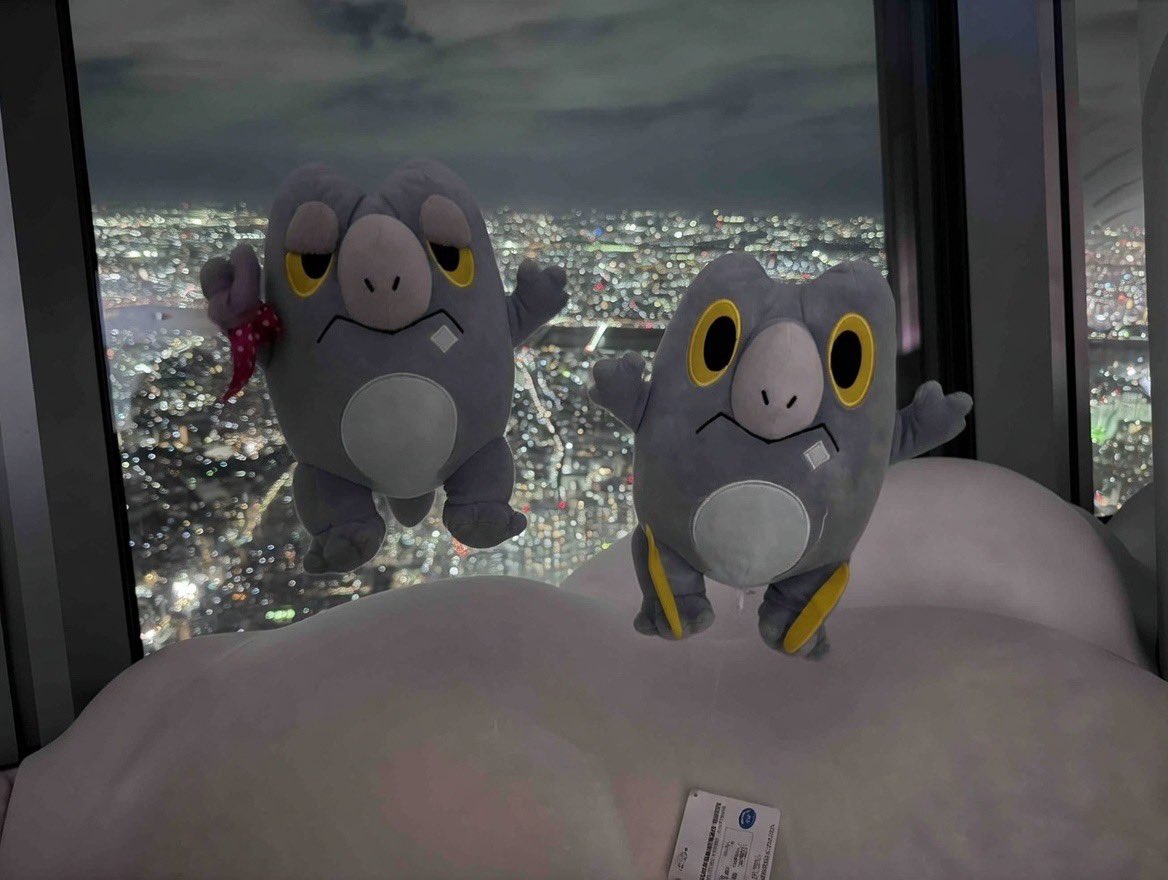 セビにっき tweet media