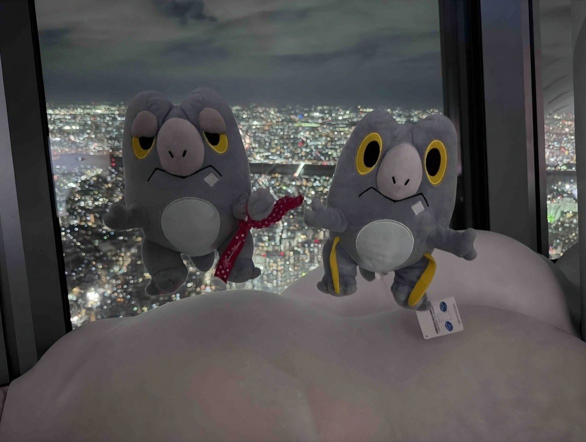 セビにっき tweet media