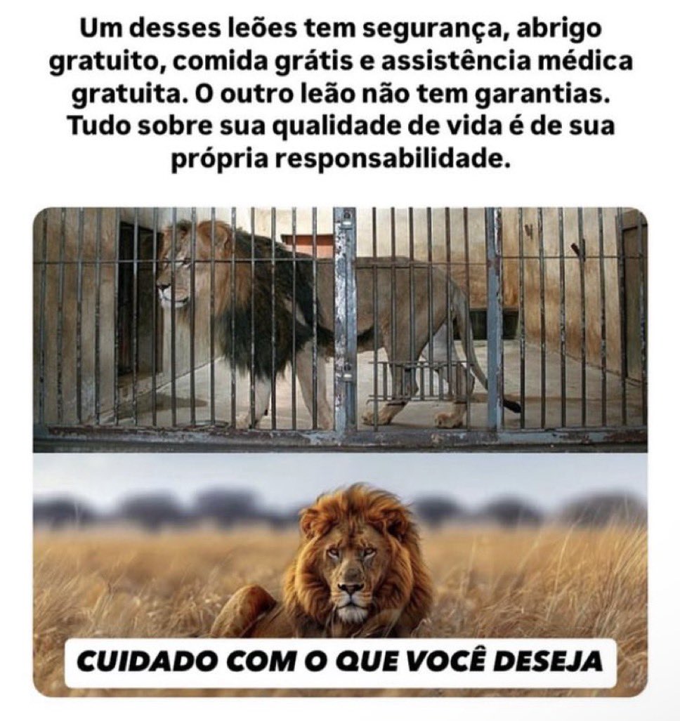 Quem é Satoshi tweet media