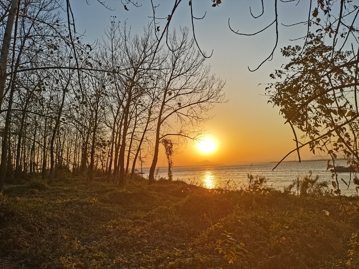 RnB Smoove tweet media