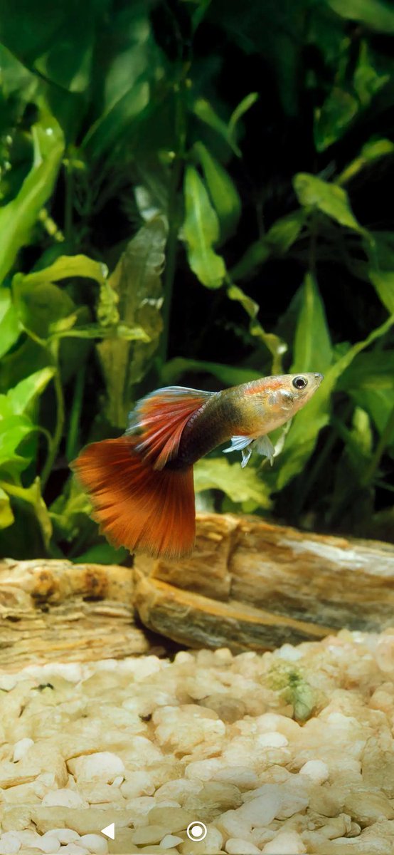 🇸🇦 إم محـــــ إم مد 🇸🇦 tweet media