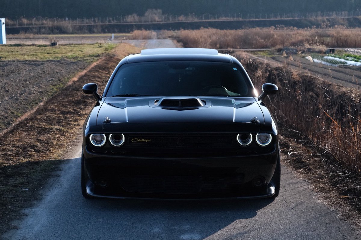 Kyo-hey🎭 tweet media