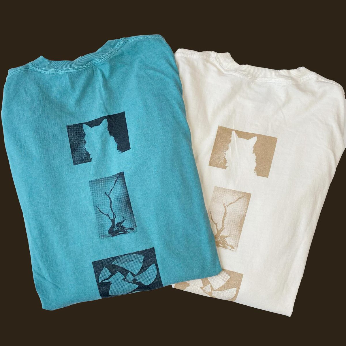 MARKING RECORDS tweet media