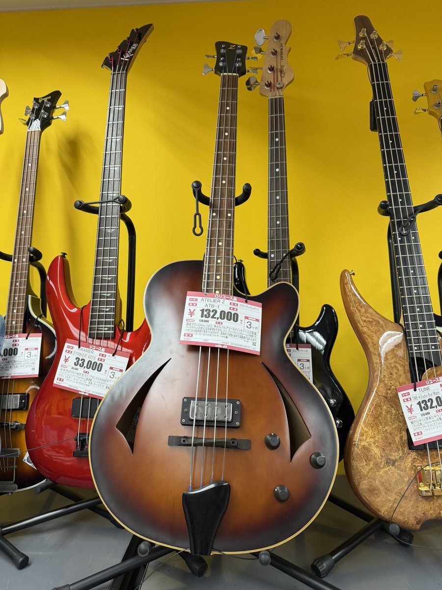 Misha/Bassと猫とカメラと山が無いと生きていけません tweet media