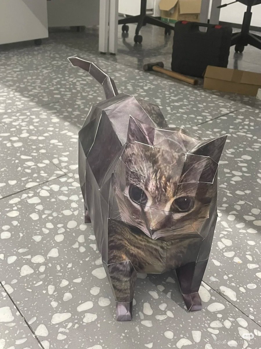 Cat Lovers 🐈 tweet media