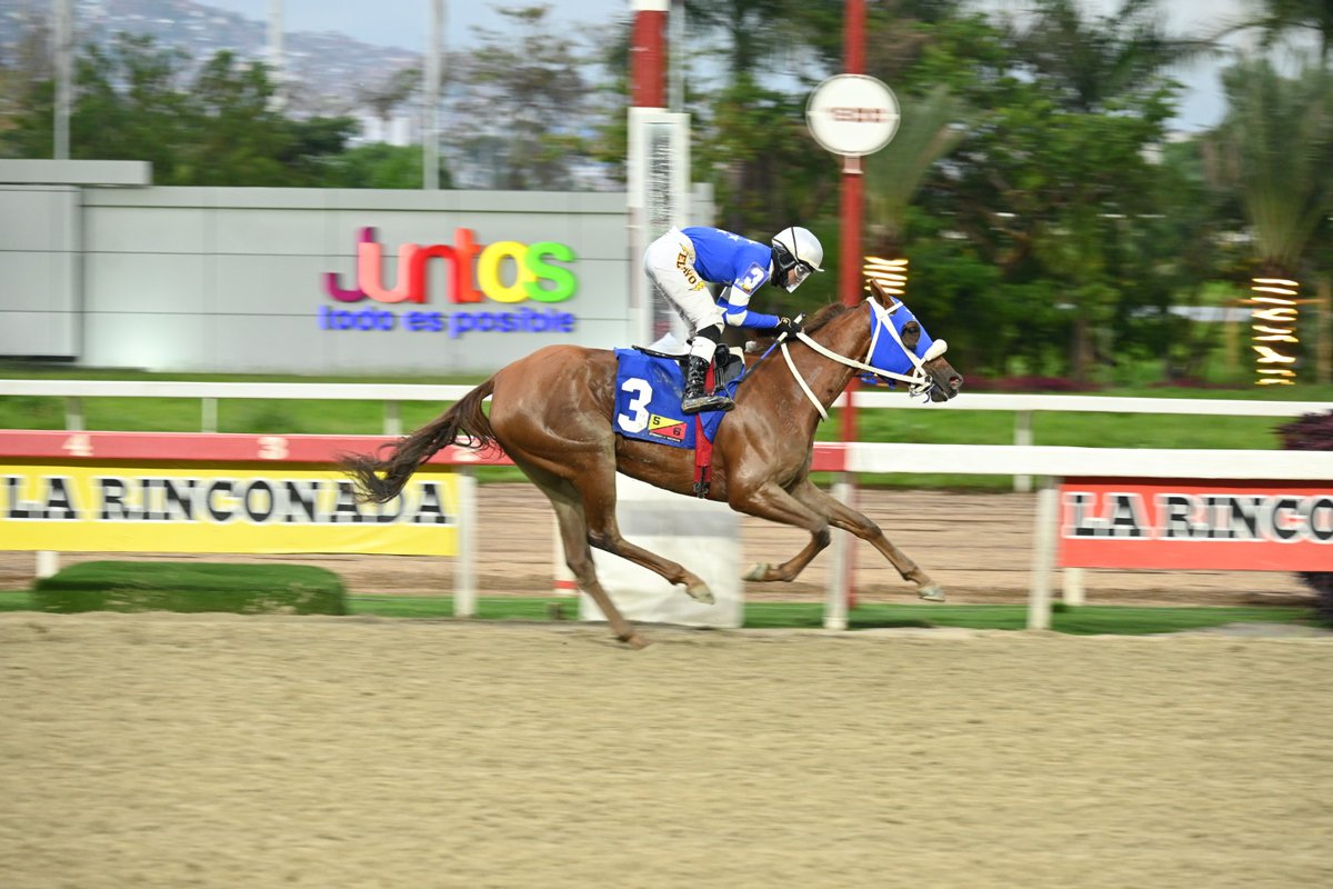 Haras La Primavera🇻🇪🏆 tweet media