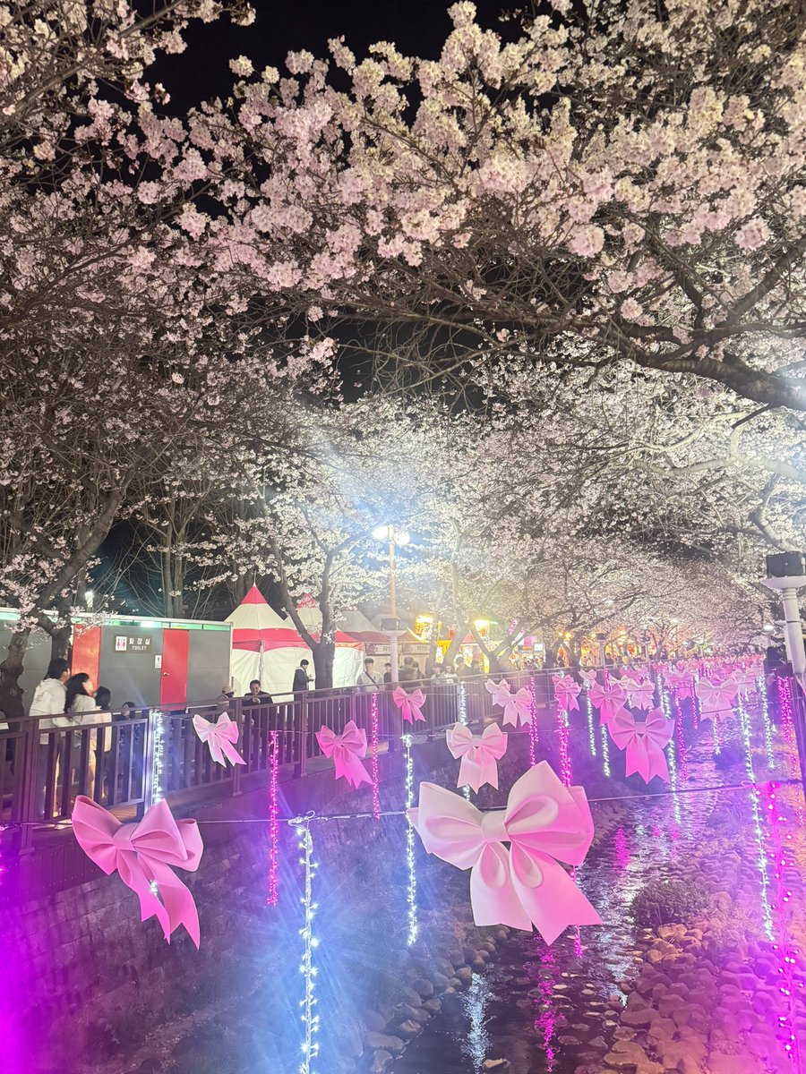 azu10106's tweet photo. 今年も行って来た、昌原の桜祭り♡
どの道行っても、ずーーーっと桜🌸なの。本当に素敵だった…楽しかった〜♥️ https://t.co/KGhT6riton