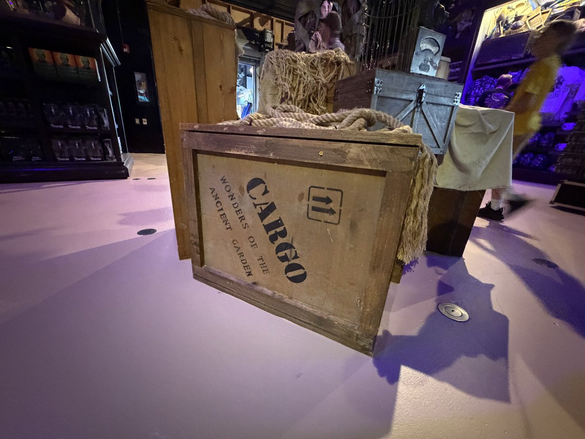 magic city mayhem tweet media