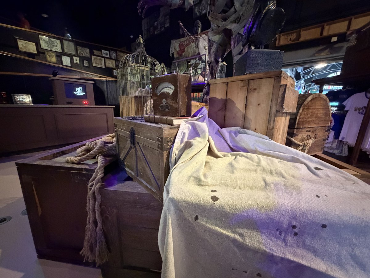 magic city mayhem tweet media