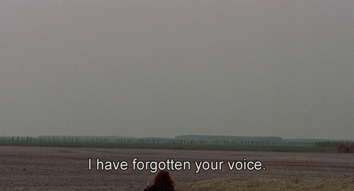 cinemariviera tweet media