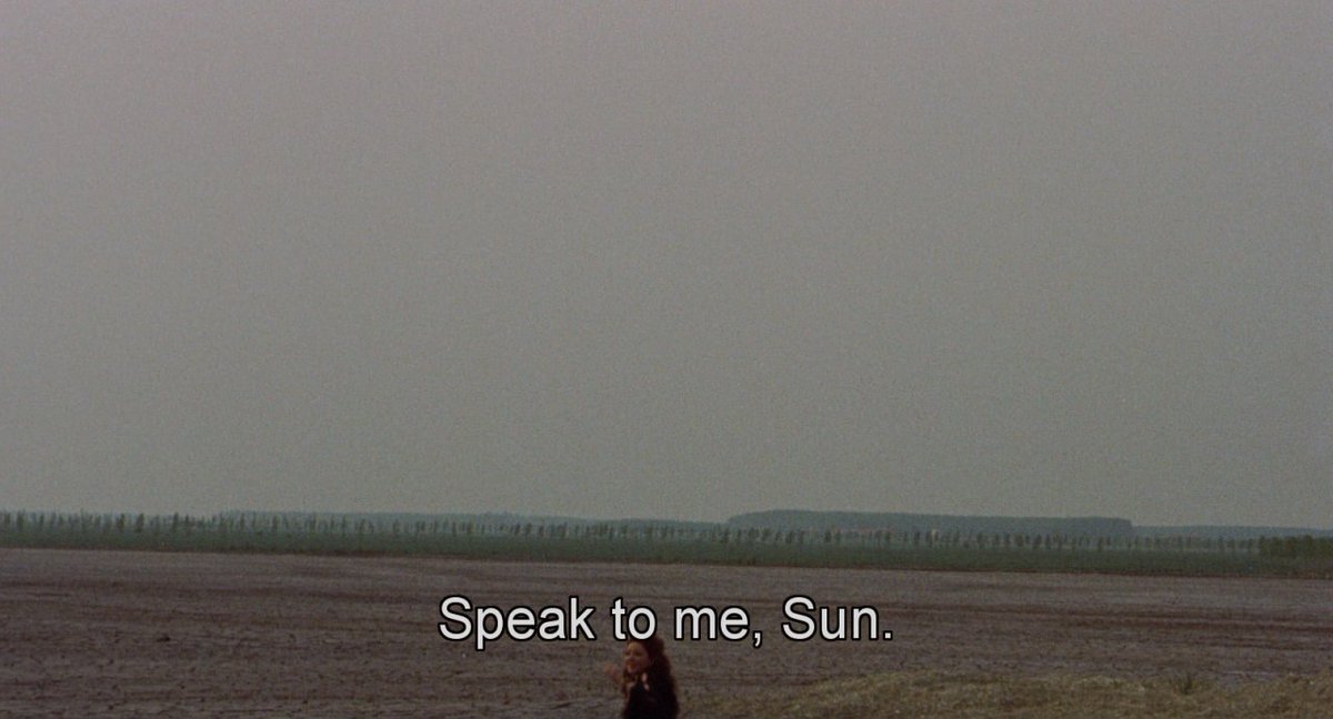 cinemariviera tweet media