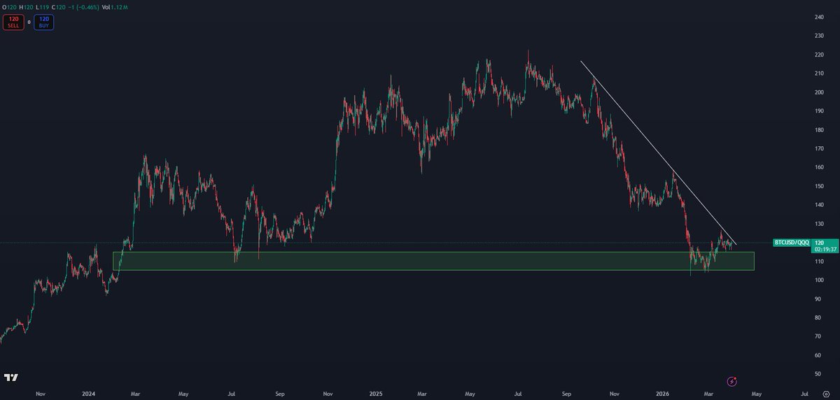 K A L E O tweet media