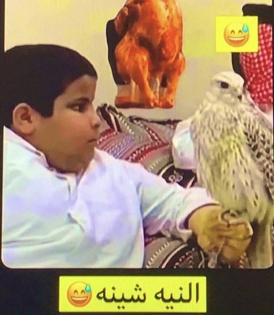 مهند tweet media