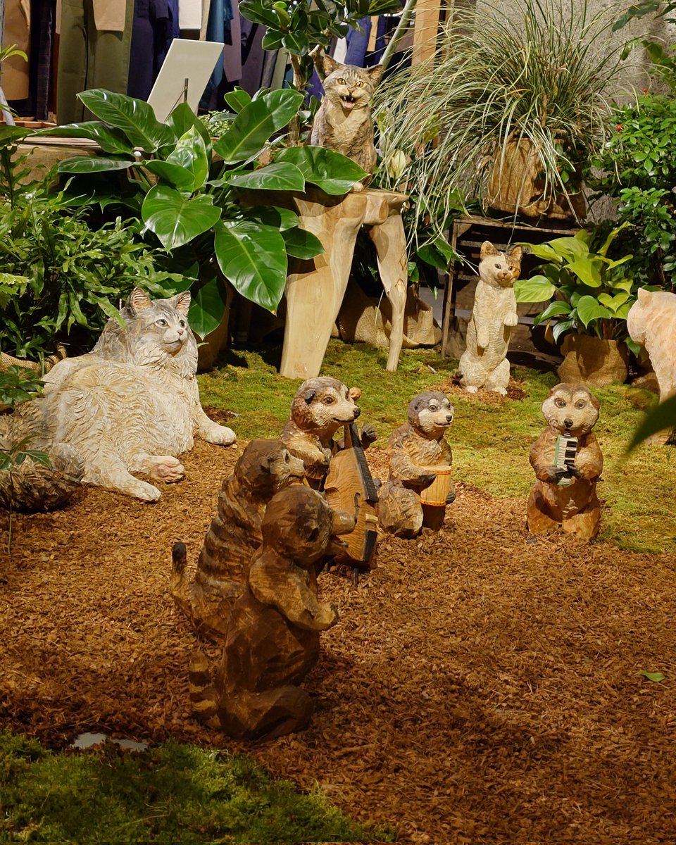 TAKA-KAJI tweet media