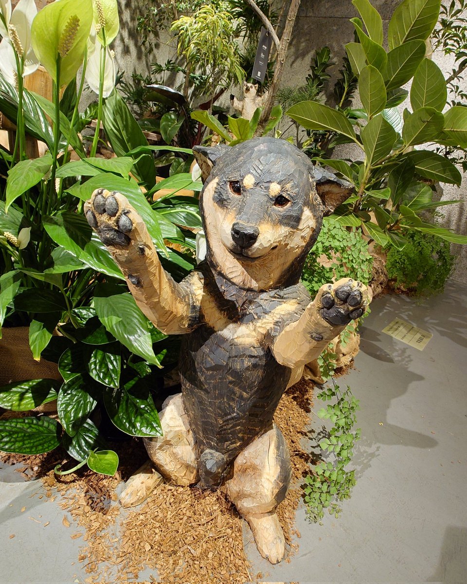 TAKA-KAJI tweet media