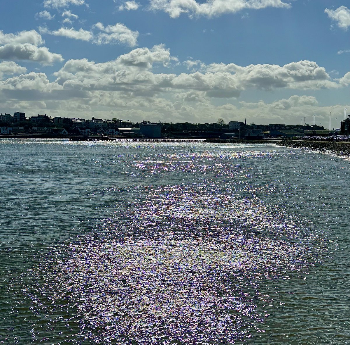 Sparty Lea tweet media