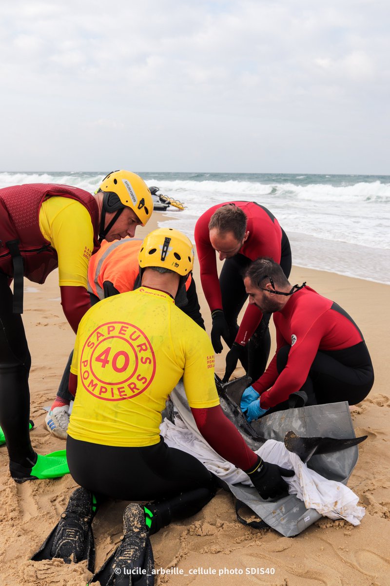 Sapeurs-pompiers 40 tweet media