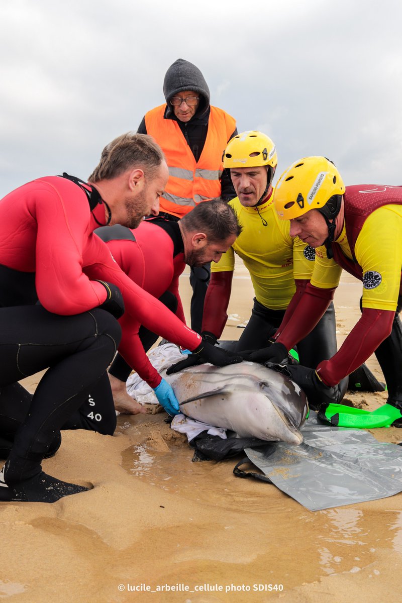 Sapeurs-pompiers 40 tweet media