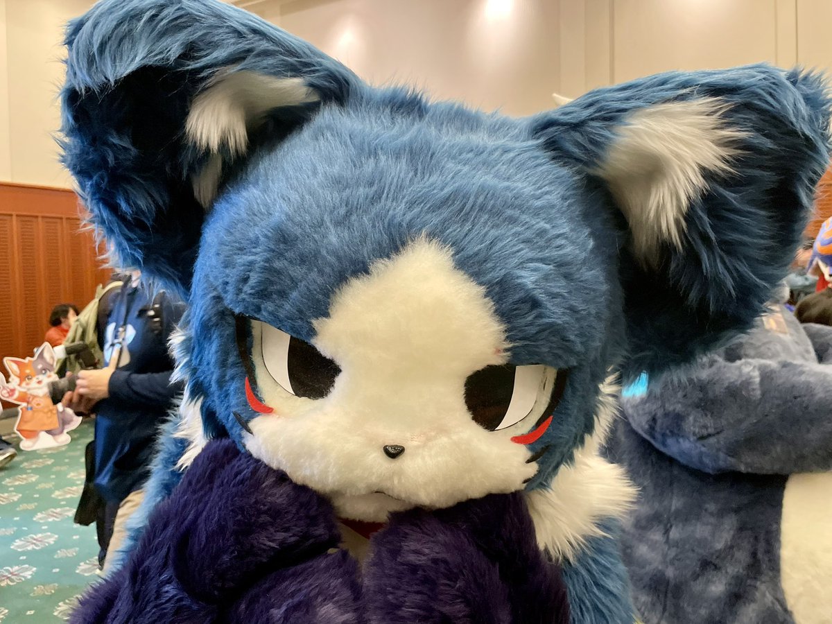 ポケルカ tweet media