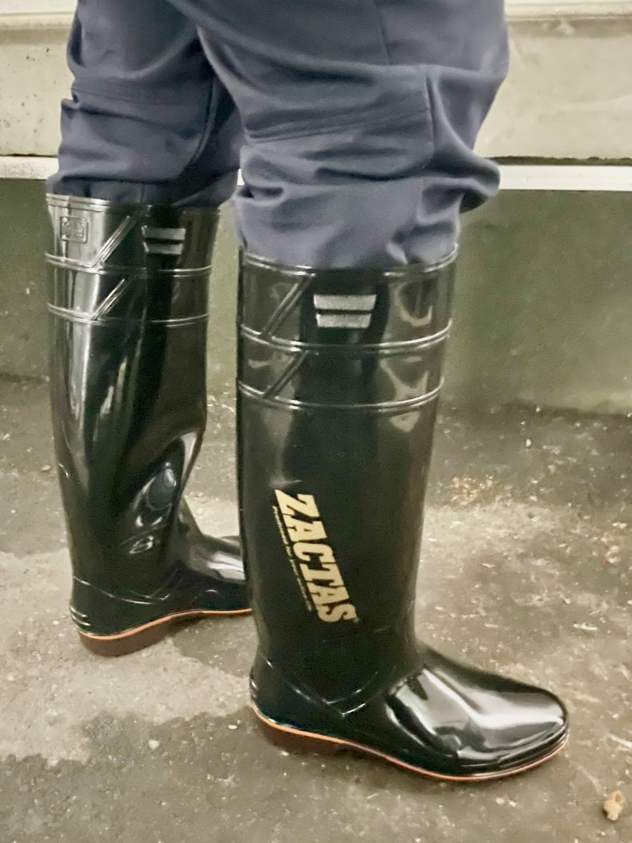 たすく tweet media