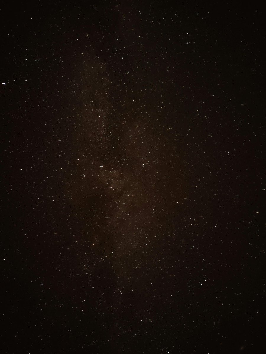 Albina Cowser tweet media