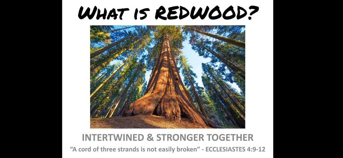 CoachDelgado61's tweet photo. @JerryQuickel @ImmokaleeFB @Indians_IHS Redwood goes back to our state champ team in '04. Redwoods grow big &amp; strong because of their root system. Roots grow deep, far, wide &amp; intertwine allowing them to stand tough in storms.
Represents IMMOKALEE. 
Our community is tough, proud &amp; united.
Our roots &amp; legacies matter!!! https://t.co/kWo01vfYtt