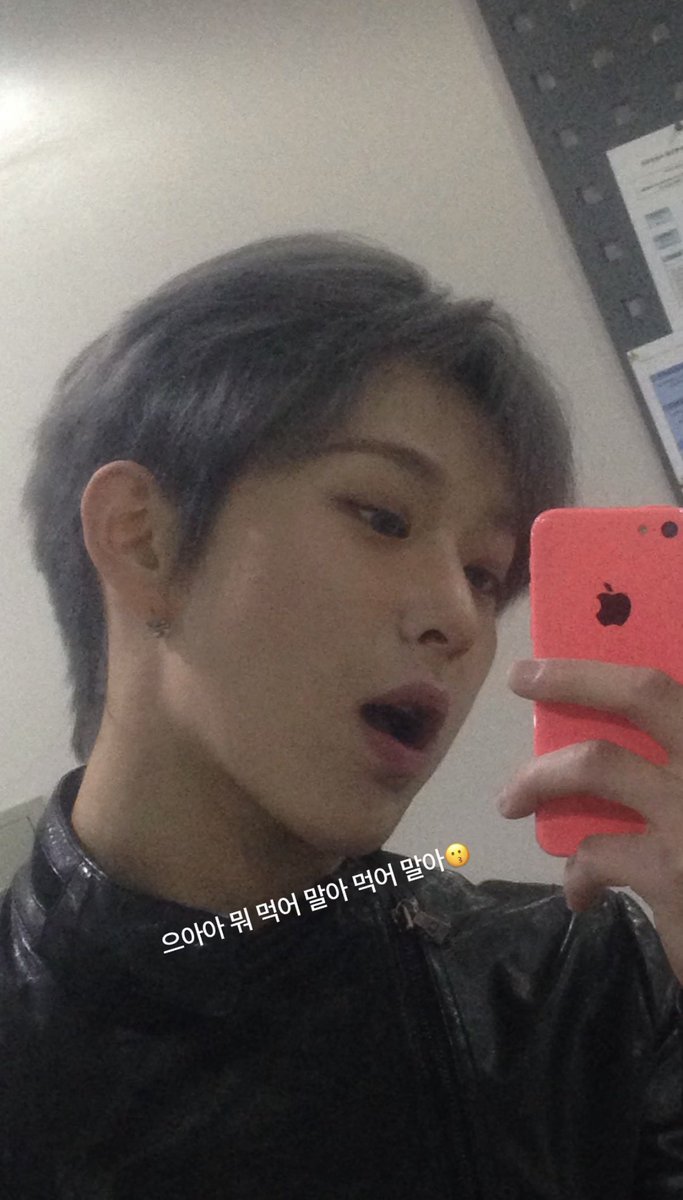 WHIB JAPAN tweet media