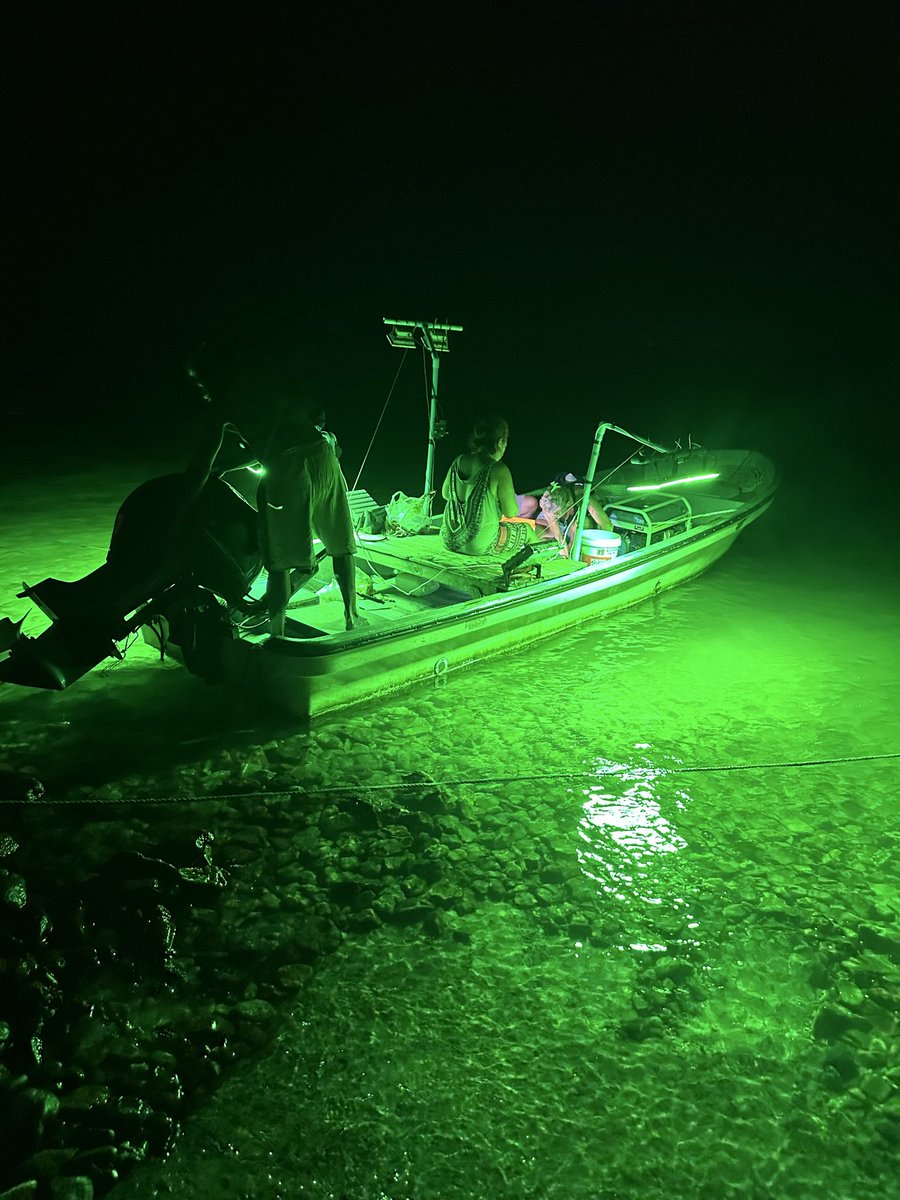 🎌 Master K🇳🇱🇹🇭 tweet media