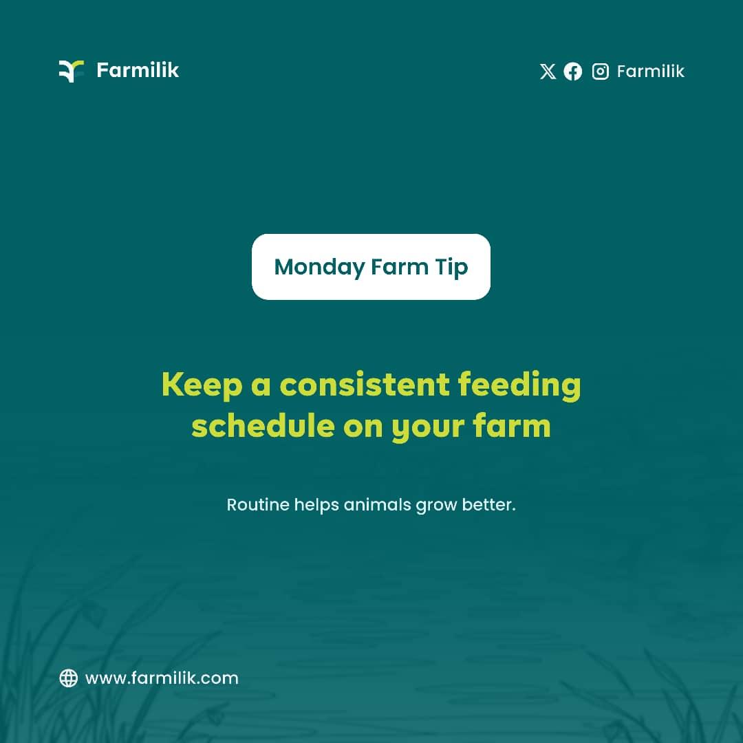 Farmilik tweet media