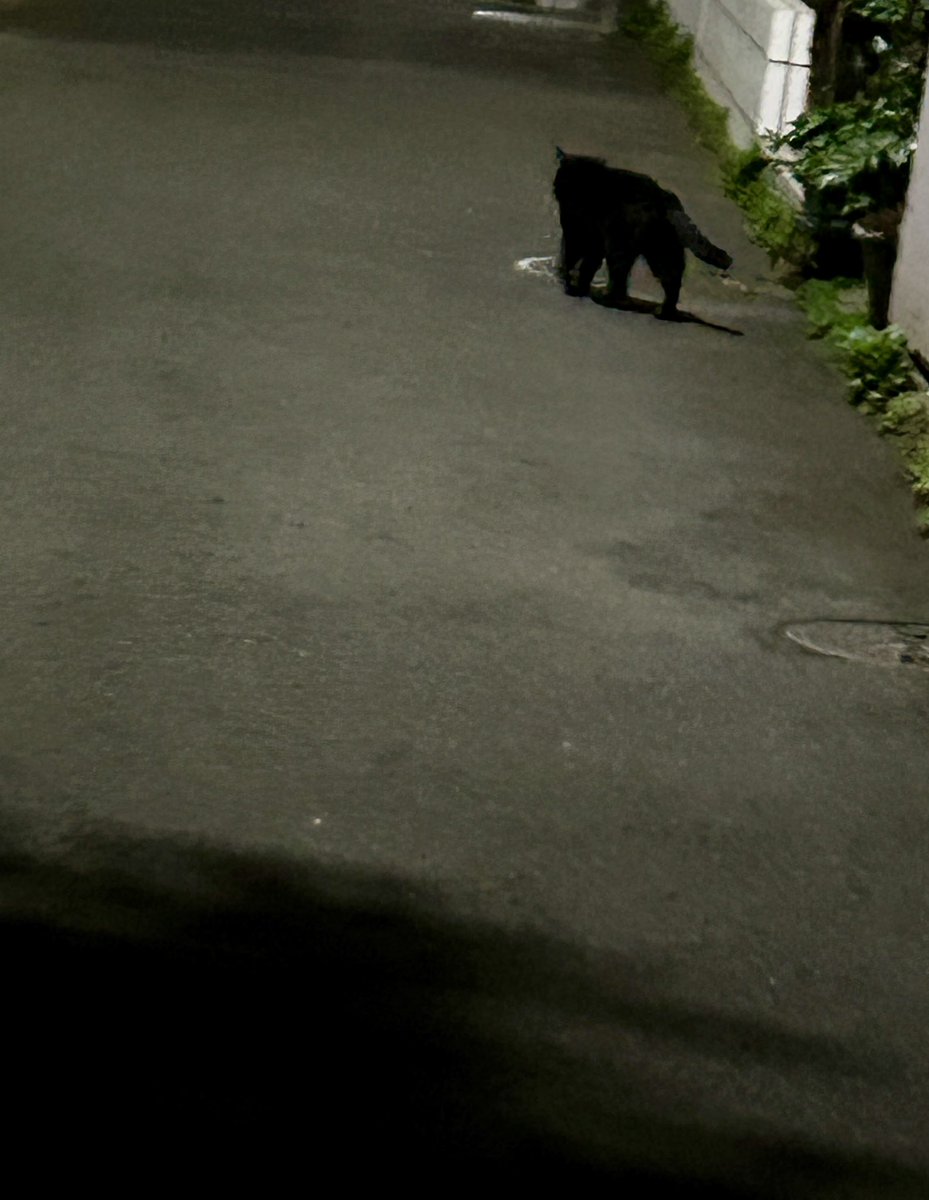 Comic Strip☆ tuffy tweet media