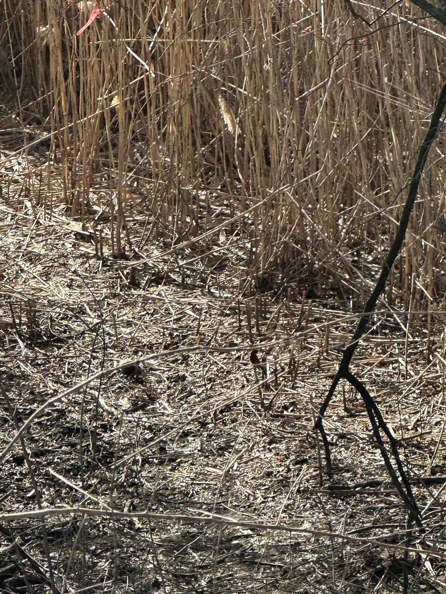 yuribeast tweet media