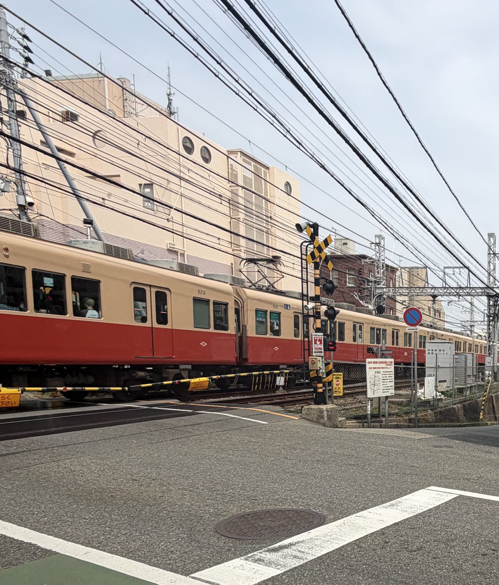 Urara tweet media