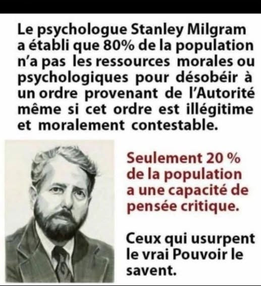 Anne cardynale ou @Bellinarg4 tweet media