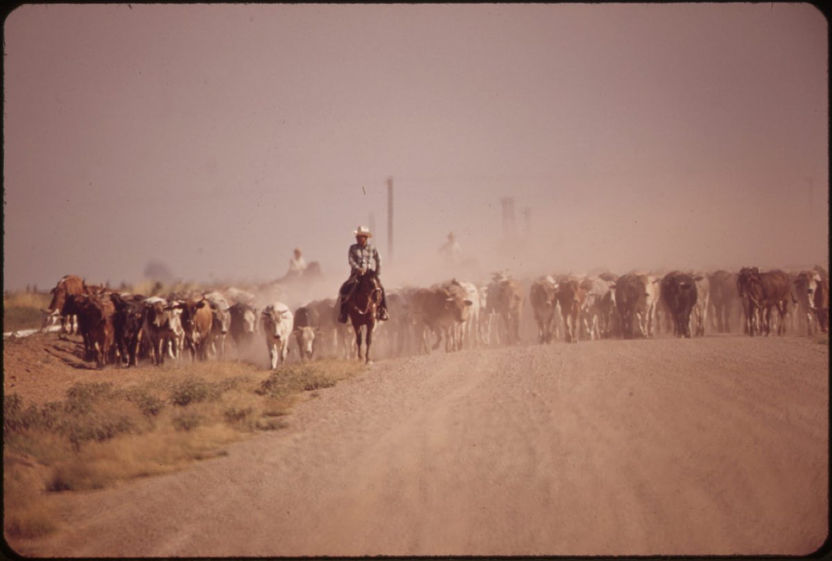 𝙷𝚒𝚌𝚔𝚖𝚊𝚗 tweet media